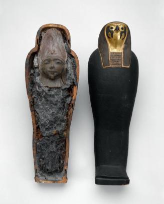 Falcon-form Coffin with Grain Mummy