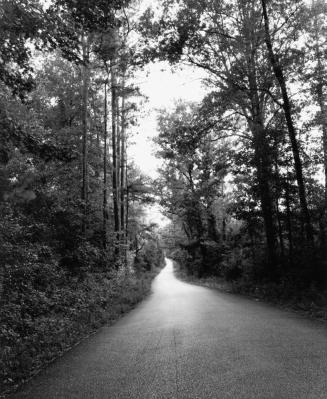 Huff Creek Road, Scene of the Murder