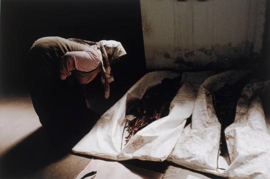 Muslim Widow Examines Body Bags, Sanski Most, Bosnia-Herzegovina