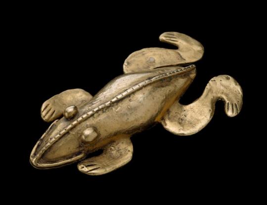 Figure of a Poisonous Frog