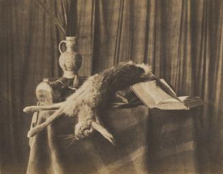 Still Life with Game