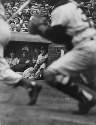 Dodger's Manager Walter Alston intensely watching the game from the dugout