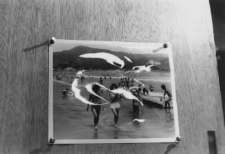 Photograph of Photograph (No. D-2401)