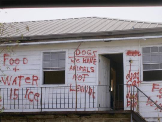 Untitled (New Orleans and the Gulf Coast)