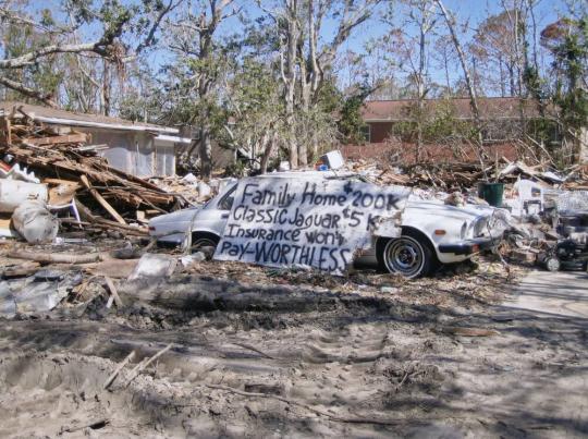 Untitled (New Orleans and the Gulf Coast)