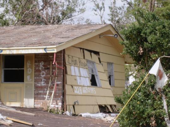 Untitled (New Orleans and the Gulf Coast)