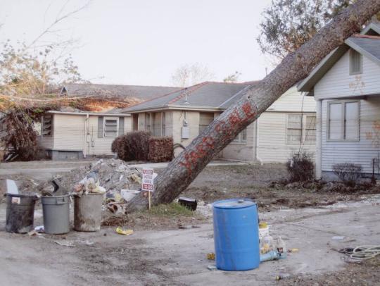 Untitled (New Orleans and the Gulf Coast)