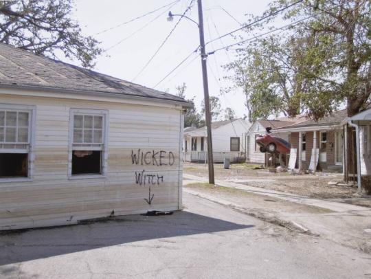 Untitled (New Orleans and the Gulf Coast)