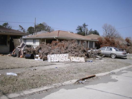 Untitled (New Orleans and the Gulf Coast)