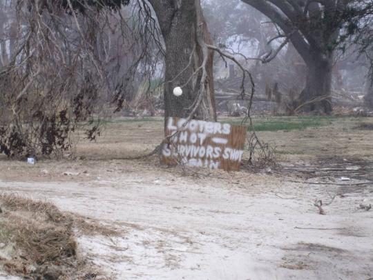 Untitled (New Orleans and the Gulf Coast)