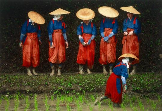 Rice Planting Festival, Kyoto