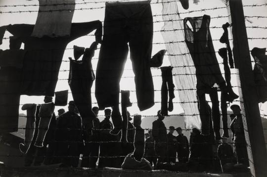 Barbed Wire Used as Clothes Line, Koje-Do, Korea