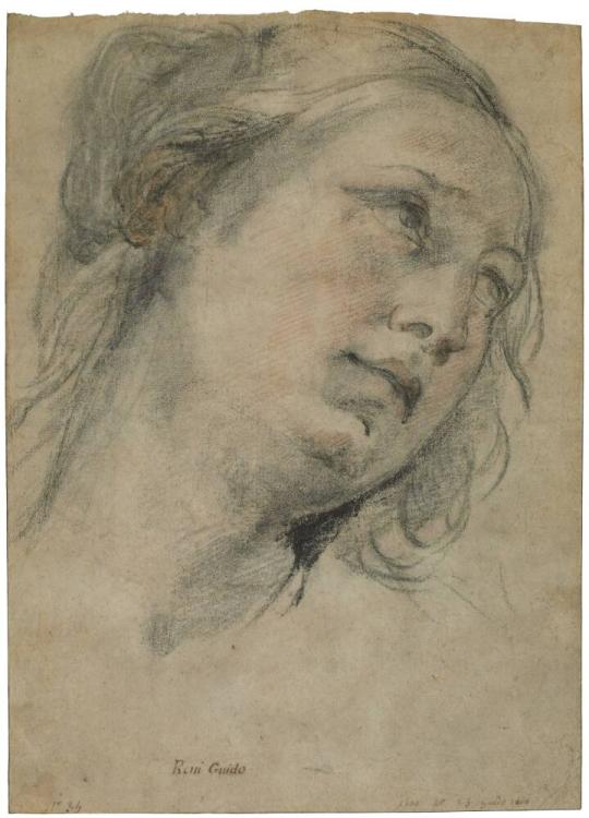 Head of a Young Woman Looking Upward
