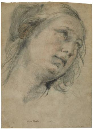 Head of a Young Woman Looking Upward