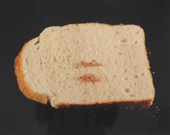 Sliced Bread (with Naturists reclining)