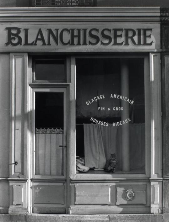 Left Bank Laundry, Paris