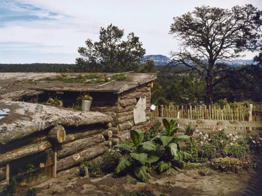 Garden adjacent to the dugout home of Jessie and Edith Evans-Whinery