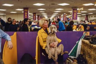 Backstage at The Westminster Kennel Club Dog Show, NYC