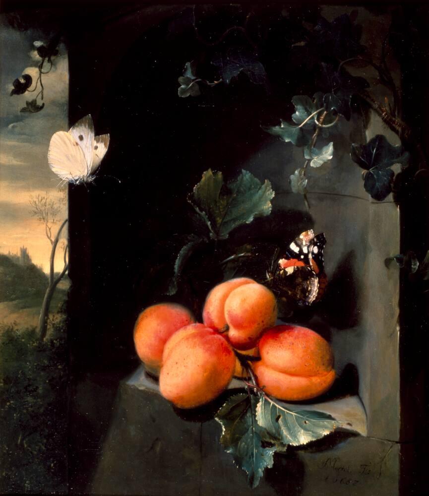 Still Life with Apricots and Butterflies | All Works | The MFAH
