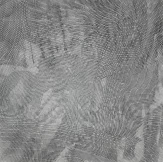 Veil from Alnilam