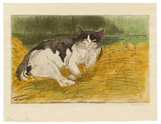 Vieux Chat Noir Et Blanc Dans L Herbe Old Black And White Cat In The Grass All Works The Mfah Collections