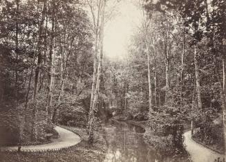 Mare aux biches (Doe's Pond), Bois de Boulogne