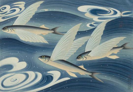 Flying Fish