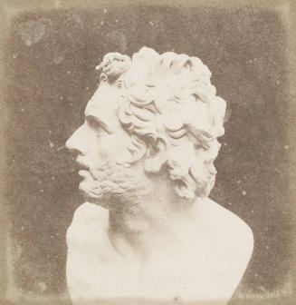 Bust of Patroclus