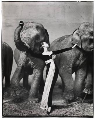 Dovima with elephants, evening dress by Dior, Cirque d'Hiver, Paris