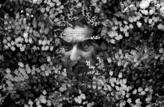 Photograph of the Late Northern Alliance commander Ahmed Shah Massoud covered in flowers during a ceremony marking the third anniversary of his death, Kabul, Afghanistan.