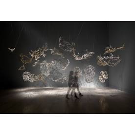 Exploring Contemporary Art from Latin America