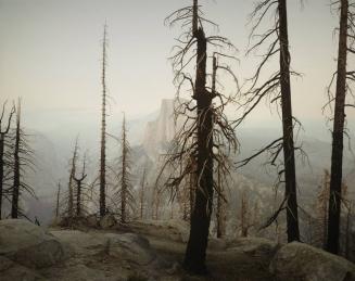 Yosemite (Burnt Forest & Half-Dome), California