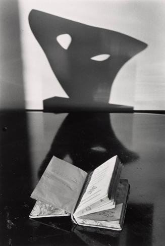 Book and Shadow, New York