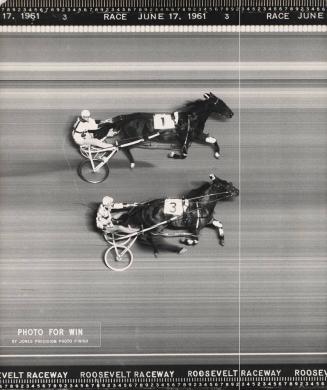 Photo For Win, Roosevelt Raceway, Third Race, June 17, 1961