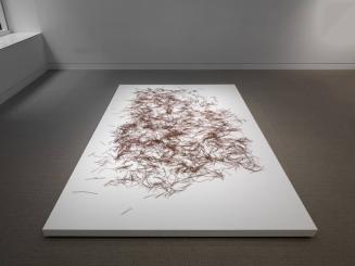 Pine Needles