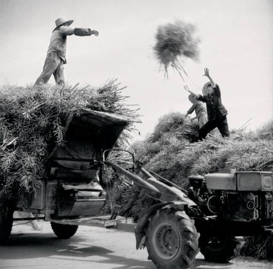 Plowing and transport, one machine with many uses, Dantu County