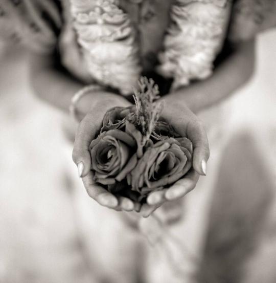 Rodi with Roses, Streets of Delhi, India