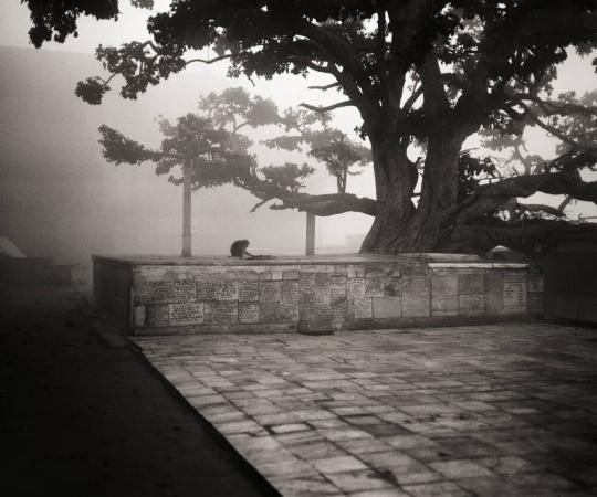 Dawn along the Yamuna River, Vrindavan, India