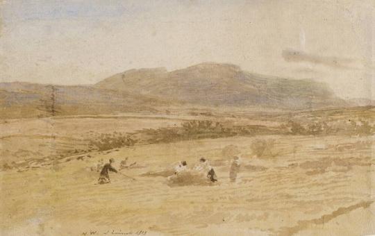 Harvesters, North Wales