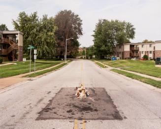 The Murder of Michael Brown, Ferguson, Missouri