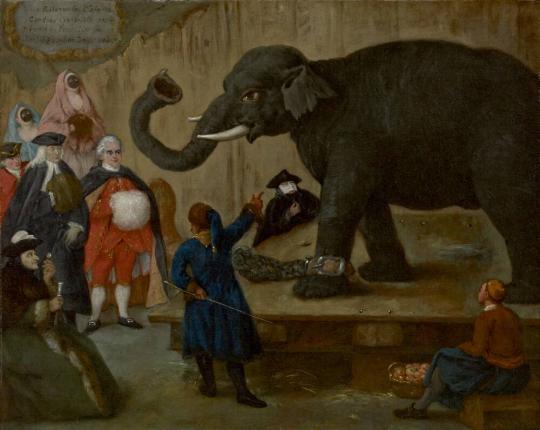 The Display of the Elephant