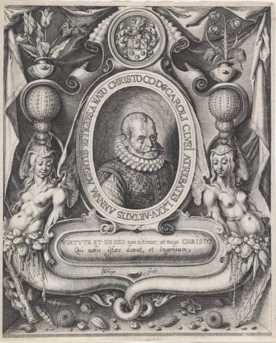 Portrait of Carolus Clusius (Charles de l'Écluse, 1526-1609) | All