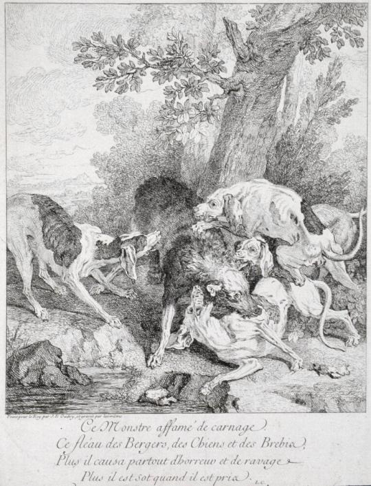 Le Loup aux  Abois (The Wolf at Bay)