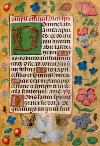Book of Hours (The “Mors Vincit Omnia” Hours)