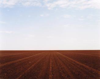 West of Levelland, Texas