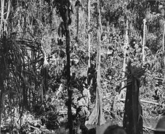 Jap Hunters, Cape Gloucester