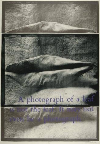 A Photograph of a Leaf is not the Leaf, It May not Even be a Photograph