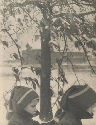 Boys Going to School