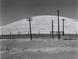 Hill and Telephone Poles