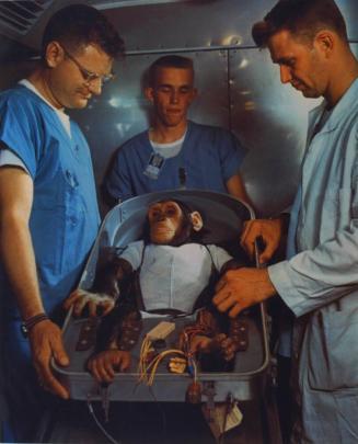 Chimpanzee Ham being prepared for a successful suborbital flight in a Mercury capsule